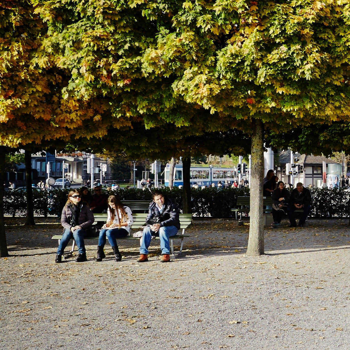 Drei Personen sitzen auf einer Bank unter einem großen Baum am Bürkliplatz in Zürich.