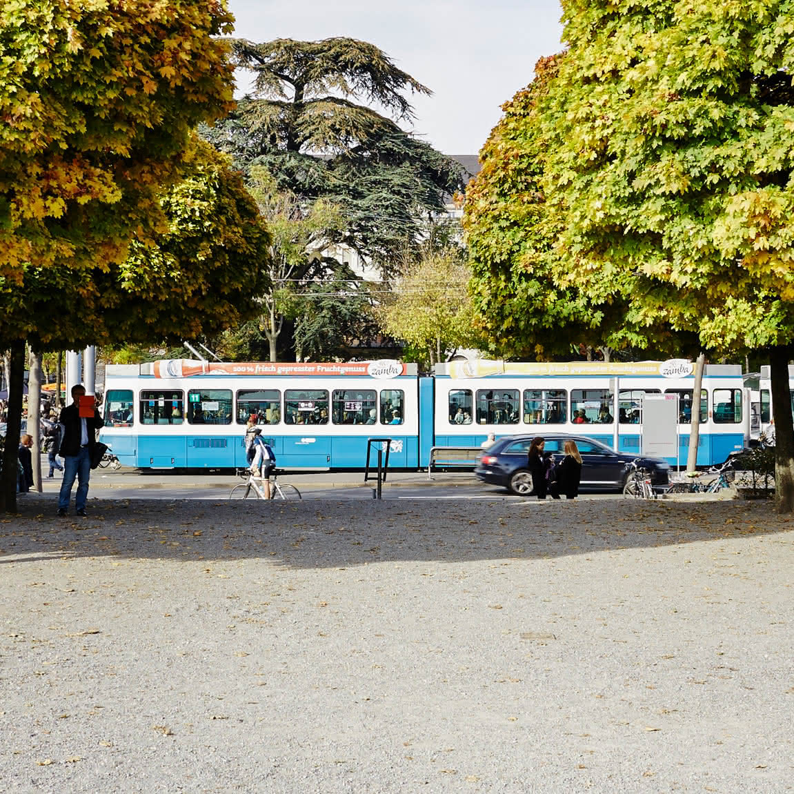 Eine blau-weisses Tram fährt beim Park des Bürkliplatz in Zürich vorbei.