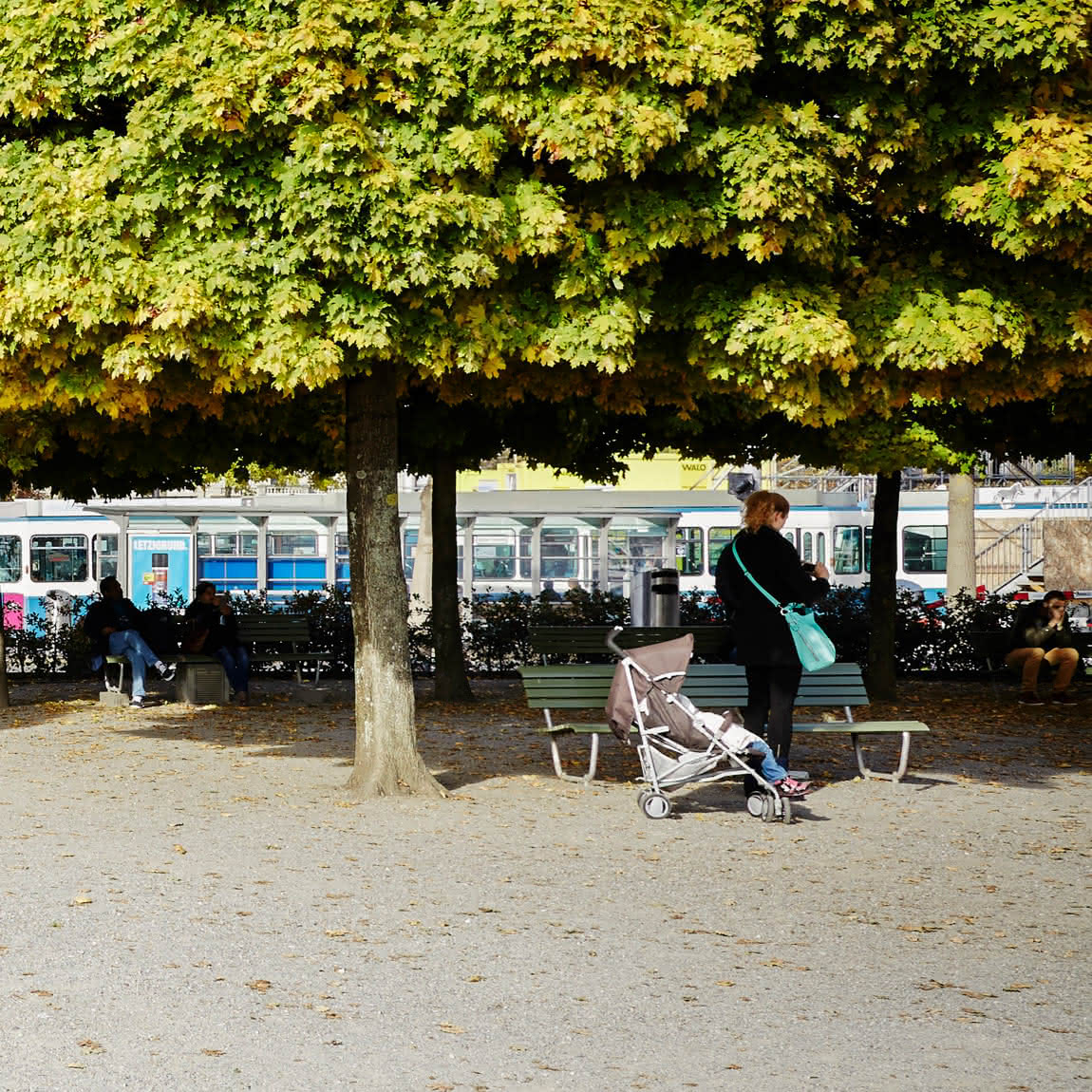 Drei Personen sitzen auf einer Bank unter einem großen Baum am Bürkliplatz in Zürich.